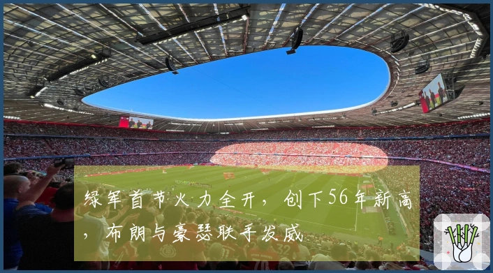 绿军首节火力全开，创下56年新高，布朗与豪瑟联手发威